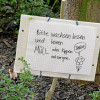 Fürth blüht auf!