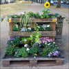 Urban Gardening: Stadt Fürth begrünt Grünanlage statt versiegelter Flächen