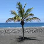 Blauer Himmel, schwarzer Strand: sowas gibt's nicht im Heimatland... (Foto: Ralph Stenzel)