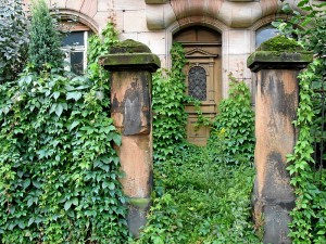 Halb zugeranktes Haus in der Karolinenstraße (Foto: Ralph Stenzel)