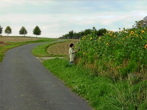 Wildpflanzenfeld (Foto: Alfred Schermann)